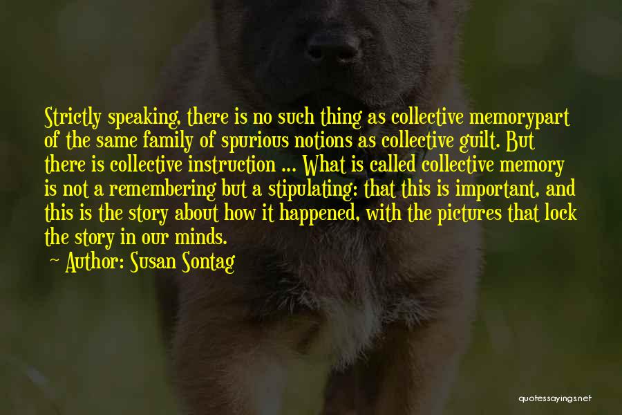 Memory And Family Quotes By Susan Sontag