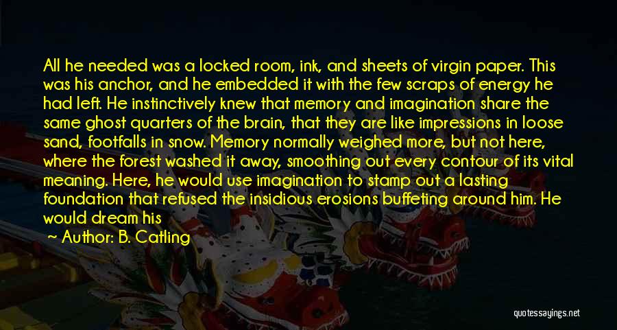 Memory And Imagination Quotes By B. Catling