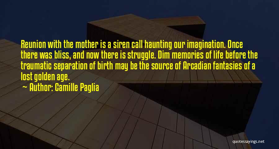 Memory And Imagination Quotes By Camille Paglia