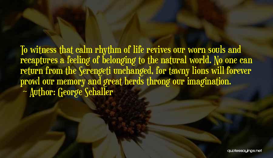 Memory And Imagination Quotes By George Schaller