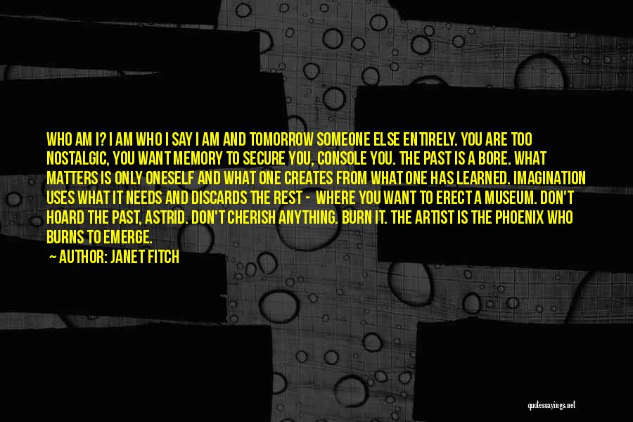Memory And Imagination Quotes By Janet Fitch