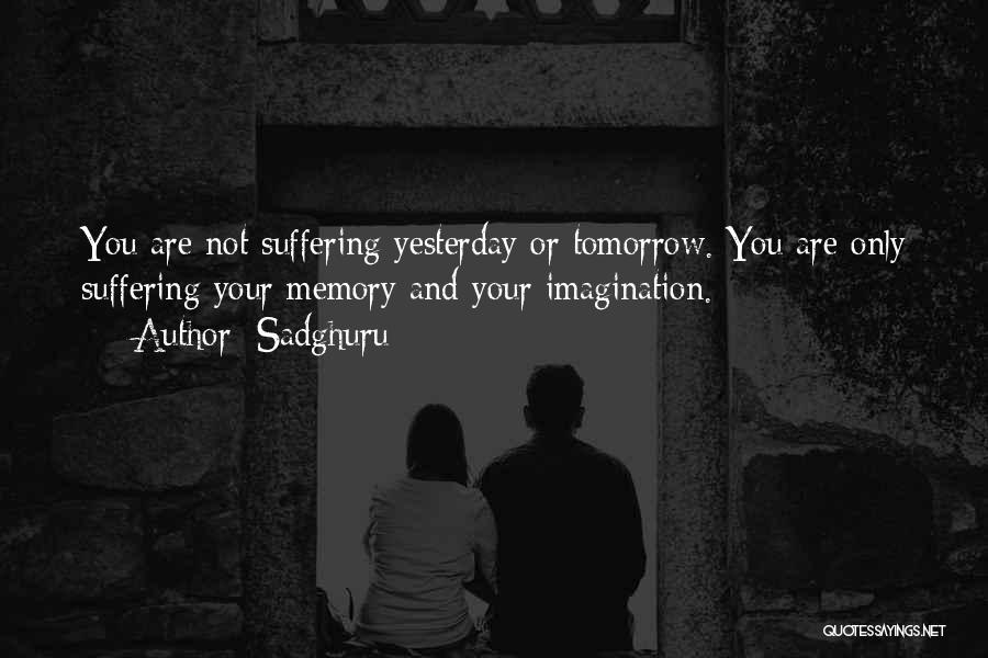 Memory And Imagination Quotes By Sadghuru