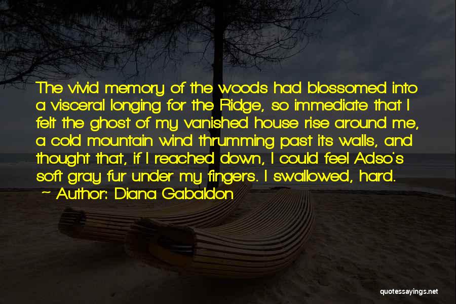 Memory And Nostalgia Quotes By Diana Gabaldon