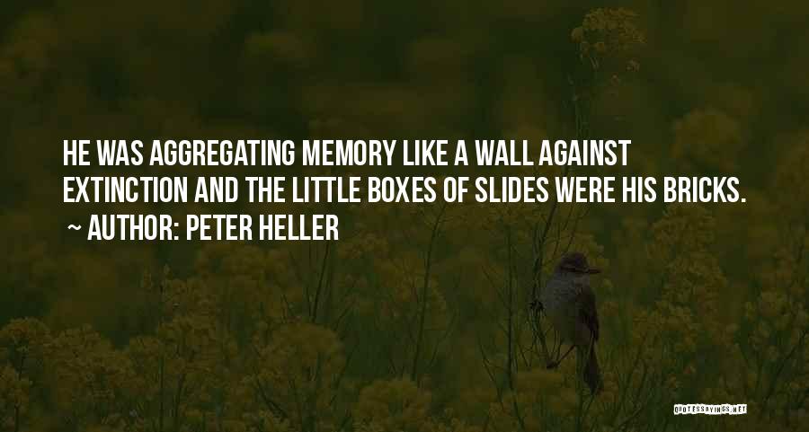 Memory Boxes Quotes By Peter Heller