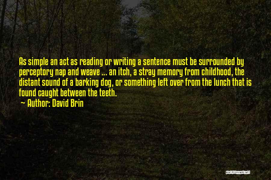 Memory Childhood Quotes By David Brin