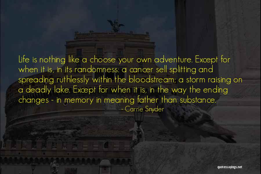 Memory Father Quotes By Carrie Snyder Memory Father Quotes By Carrie Snyder