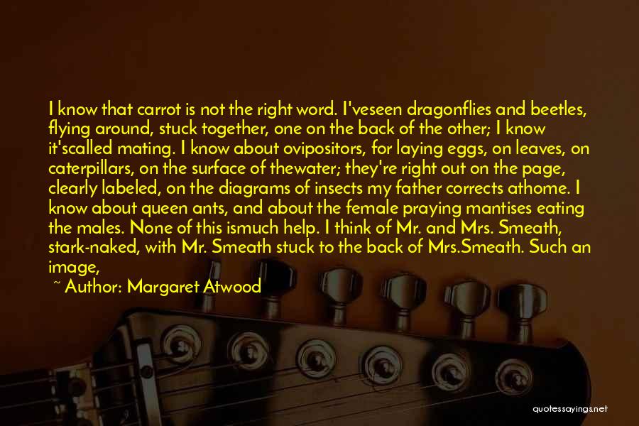 Memory Father Quotes By Margaret Atwood