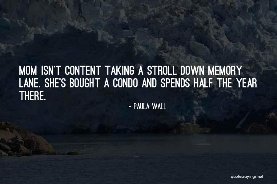 Memory Lane Quotes By Paula Wall