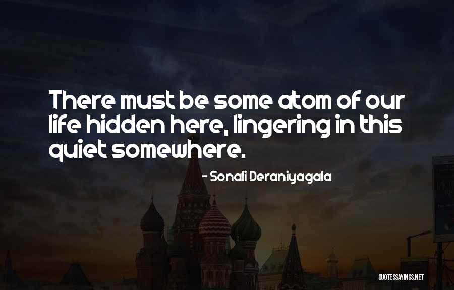 Memory Lane Quotes By Sonali Deraniyagala