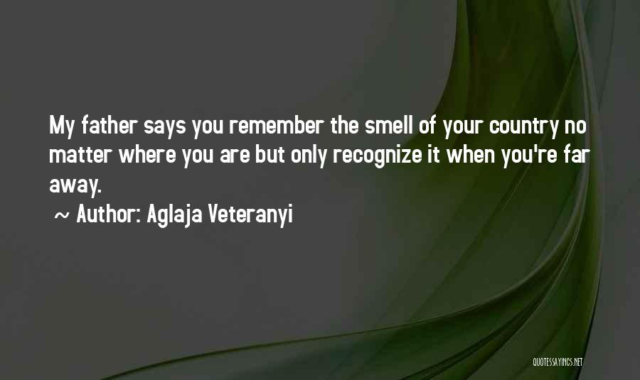 Memory Of Father Quotes By Aglaja Veteranyi