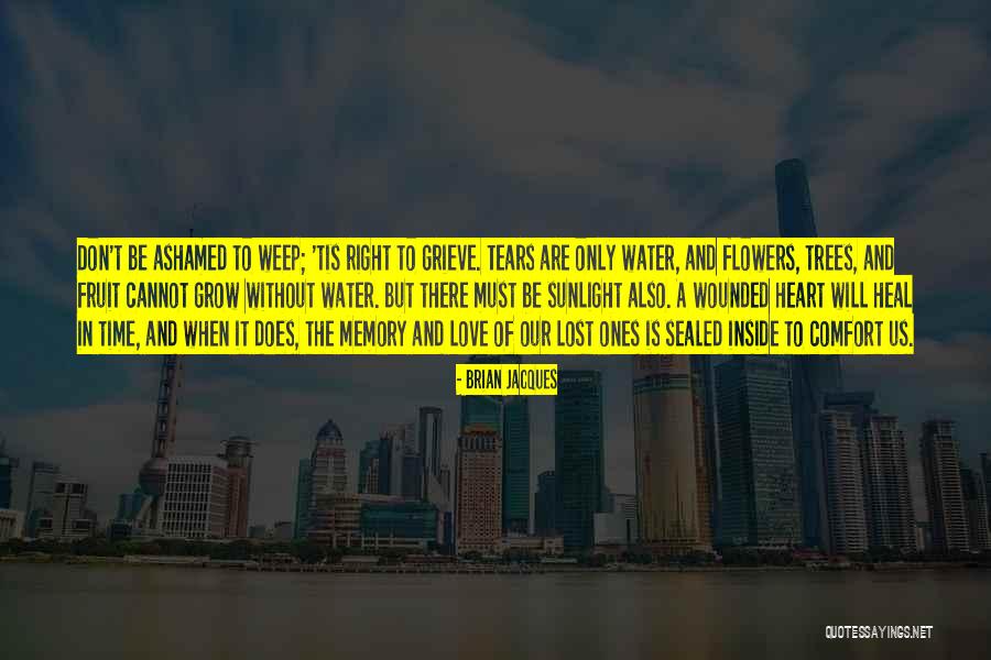 Memory Of Water Quotes By Brian Jacques Memory Of Water Quotes By Brian Jacques