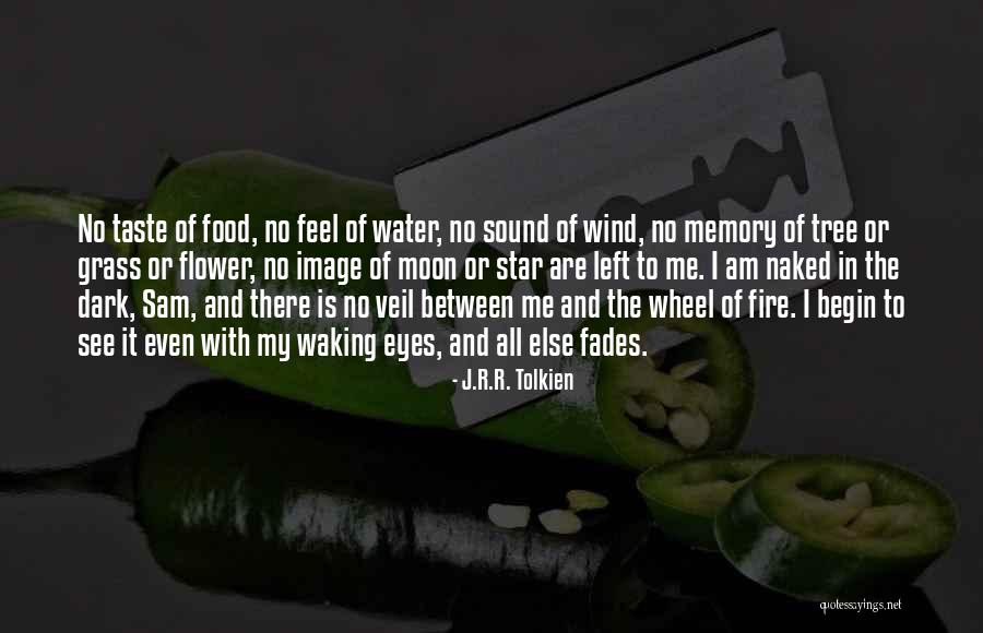 Memory Of Water Quotes By J.R.R. Tolkien Memory Of Water Quotes By J.R.R. Tolkien