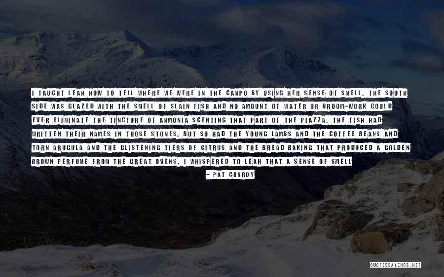 Memory Of Water Quotes By Pat Conroy Memory Of Water Quotes By Pat Conroy