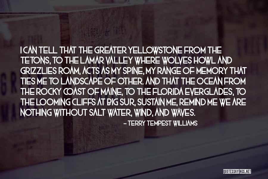 Memory Of Water Quotes By Terry Tempest Williams Memory Of Water Quotes By Terry Tempest Williams