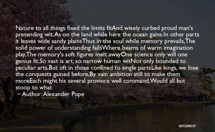 Memory Power Quotes By Alexander Pope