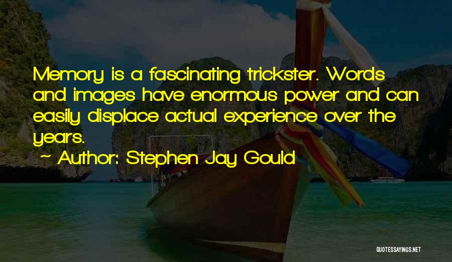 Memory Power Quotes By Stephen Jay Gould