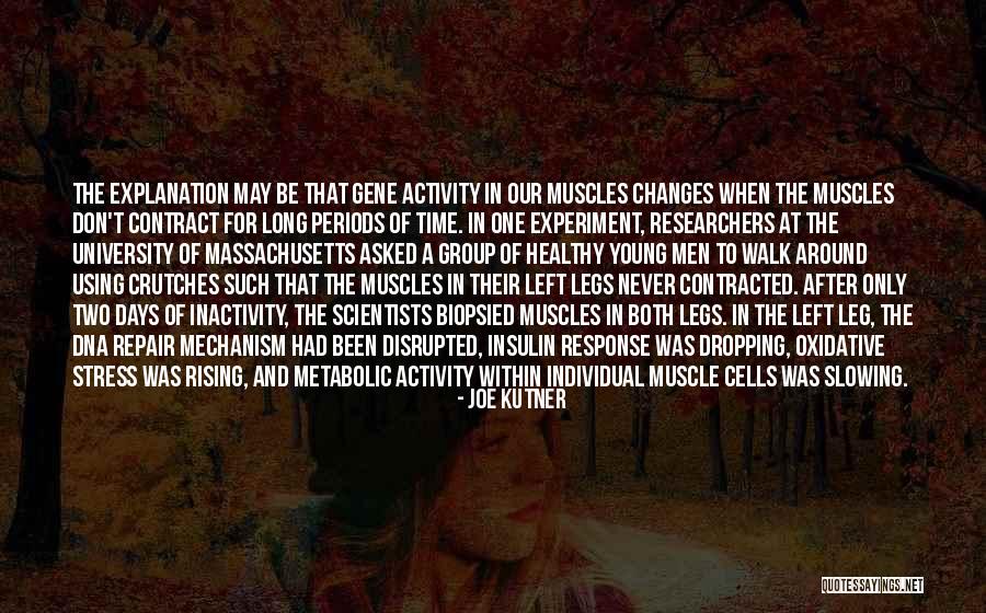 Men Muscles Quotes By Joe Kutner Men Muscles Quotes By Joe Kutner
