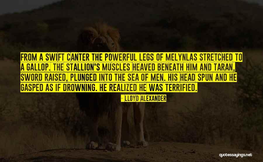 Men Muscles Quotes By Lloyd Alexander Men Muscles Quotes By Lloyd Alexander