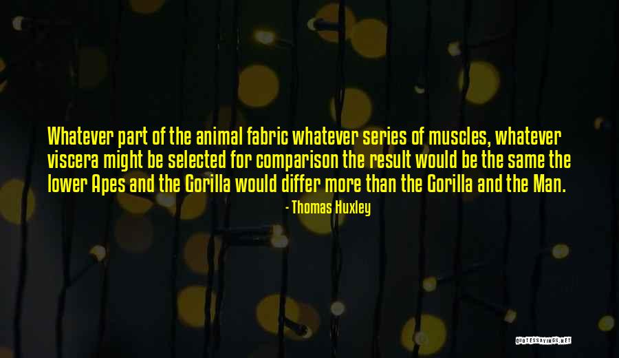 Men Muscles Quotes By Thomas Huxley Men Muscles Quotes By Thomas Huxley