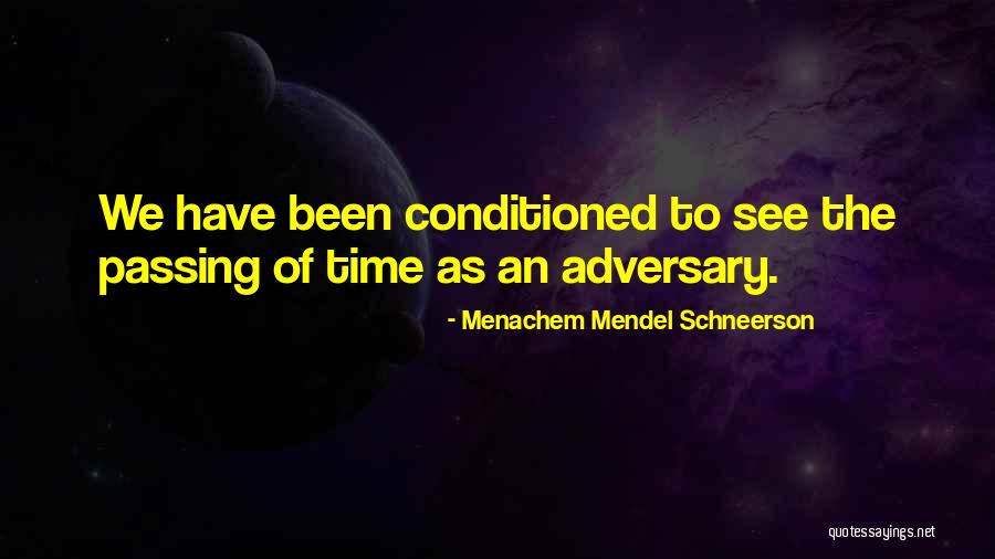 Menachem M. Schneerson Quotes By Menachem Mendel Schneerson