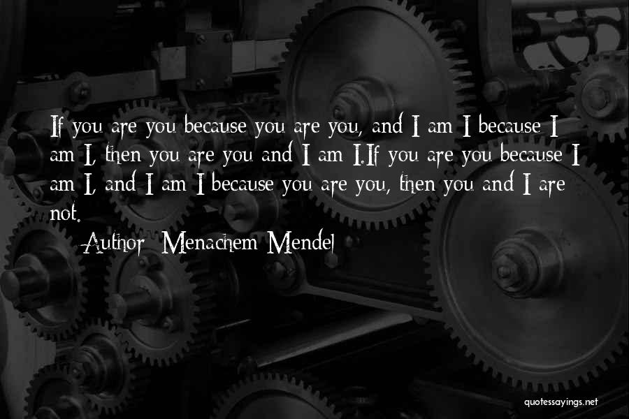 Menachem Mendel Quotes 1841030