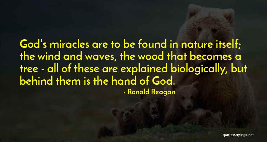 Menachems Butcher Quotes By Ronald Reagan Menachems Butcher Quotes By Ronald Reagan