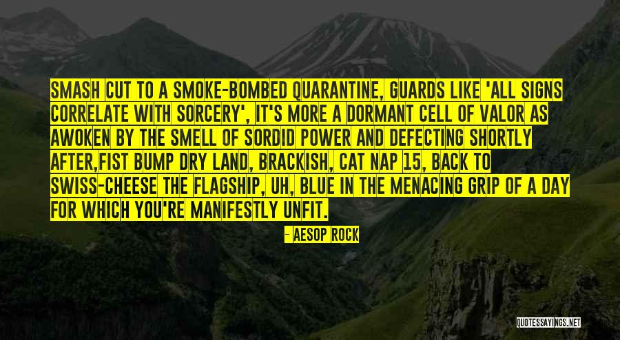 Menacing Quotes By Aesop Rock Menacing Quotes By Aesop Rock