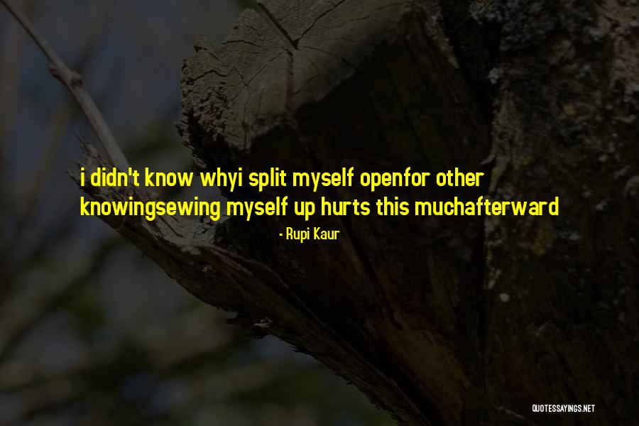 Mencz Zsuzsa Quotes By Rupi Kaur Mencz Zsuzsa Quotes By Rupi Kaur