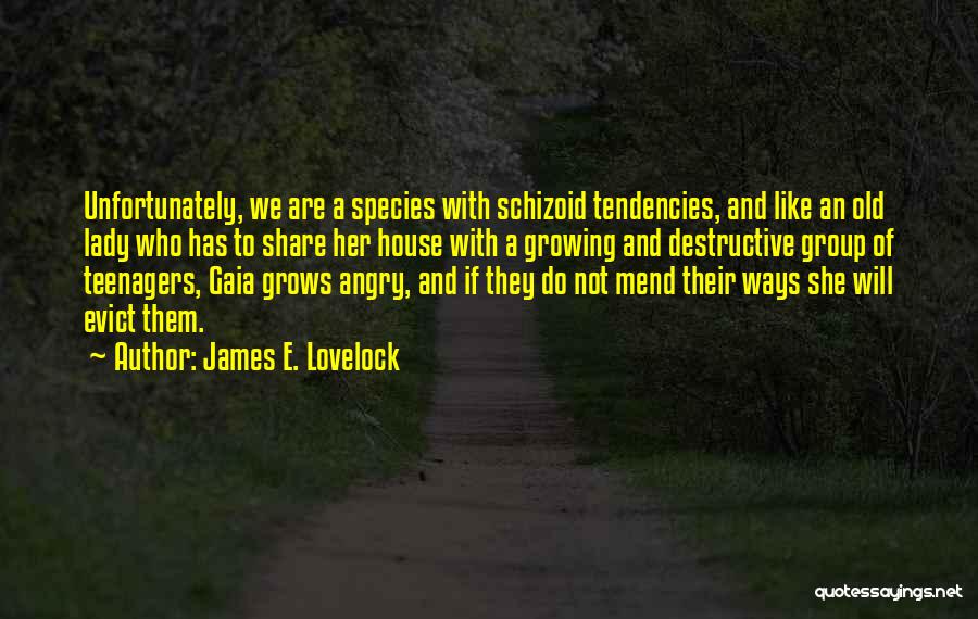 Mend Your Ways Quotes By James E. Lovelock