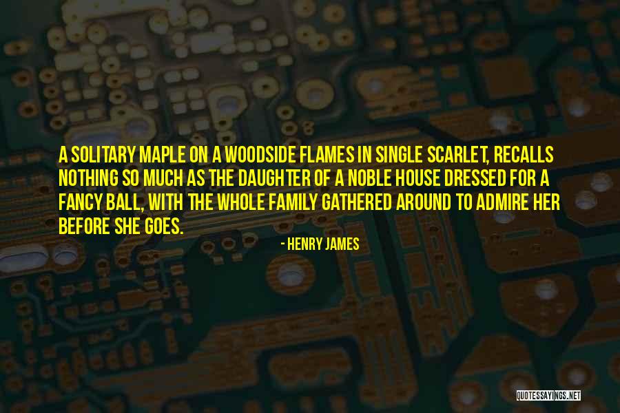 Mendax Microsystems Quotes By Henry James Mendax Microsystems Quotes By Henry James