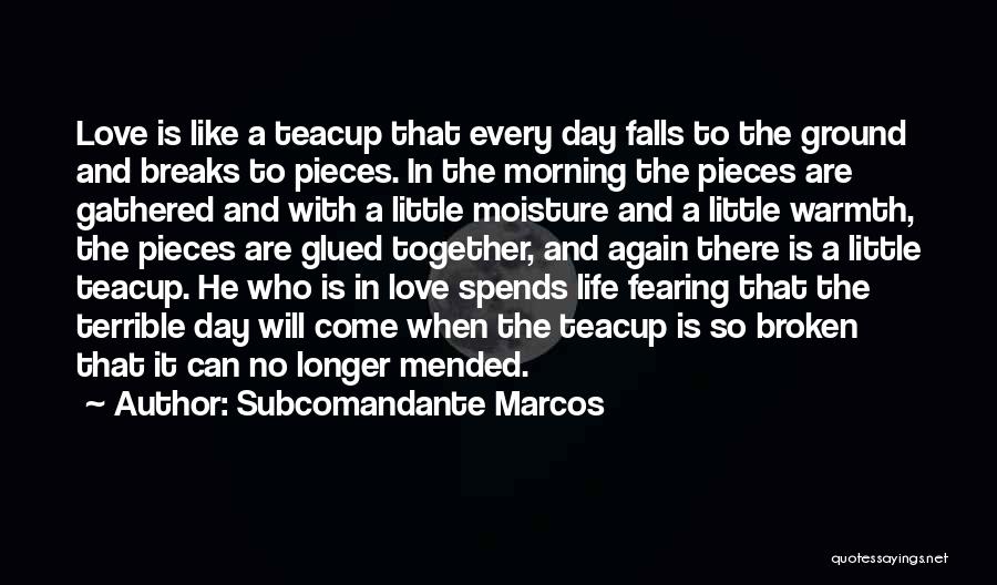 Mended Love Quotes By Subcomandante Marcos