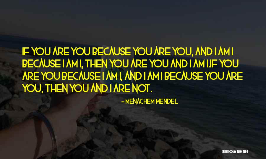 Mendel Quotes By Menachem Mendel