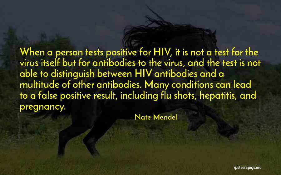 Mendel Quotes By Nate Mendel Mendel Quotes By Nate Mendel