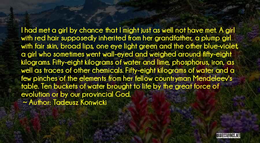 Mendeleev's Quotes By Tadeusz Konwicki