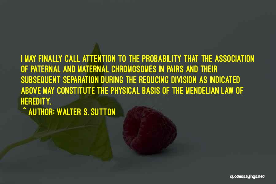 Mendelian Genetics Quotes By Walter S. Sutton