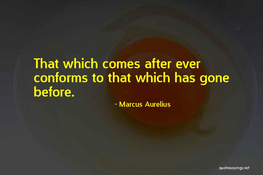 Mendieta Miami Quotes By Marcus Aurelius