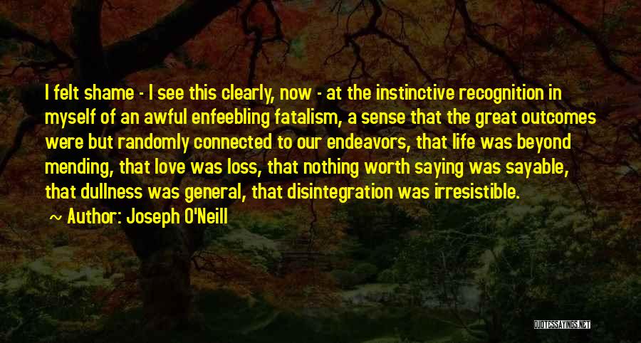 Mending Love Quotes By Joseph O'Neill