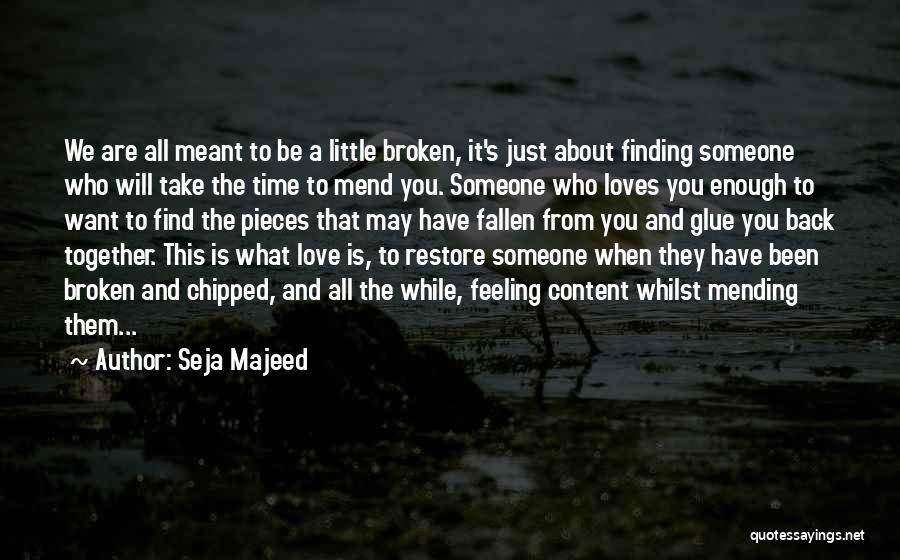 Mending Love Quotes By Seja Majeed