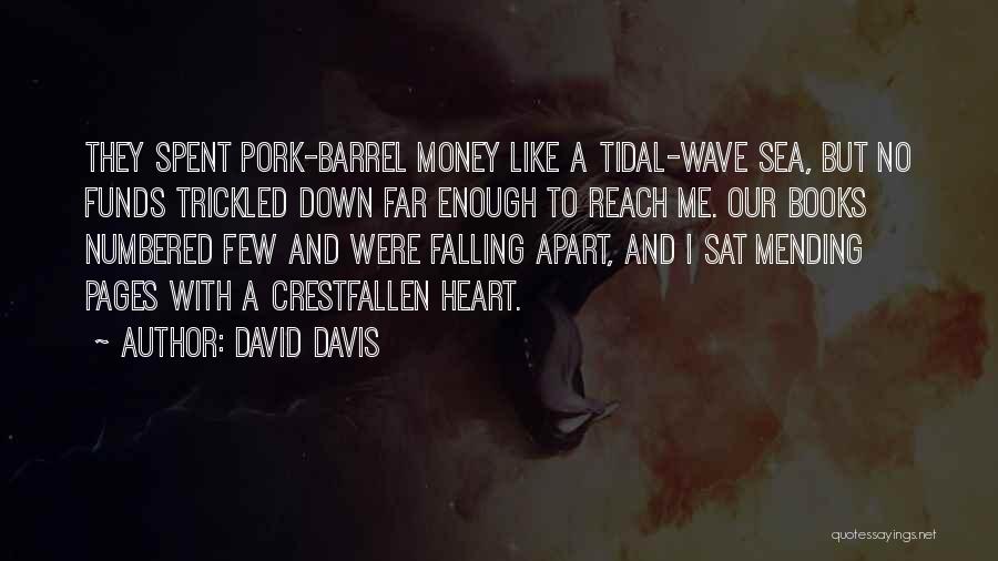 Mending Quotes By David Davis