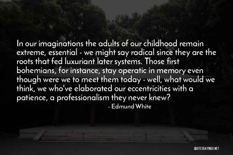 Menditto Quotes By Edmund White Menditto Quotes By Edmund White