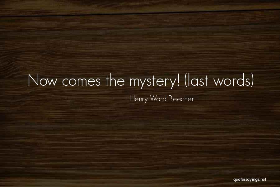 Meneset Quotes By Henry Ward Beecher Meneset Quotes By Henry Ward Beecher