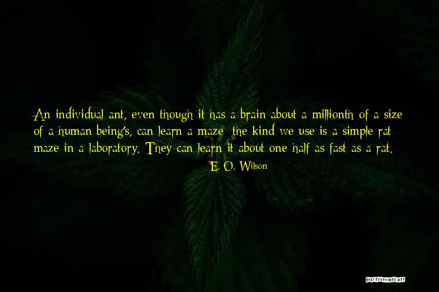 Mengaduk Teh Quotes By E. O. Wilson Mengaduk Teh Quotes By E. O. Wilson