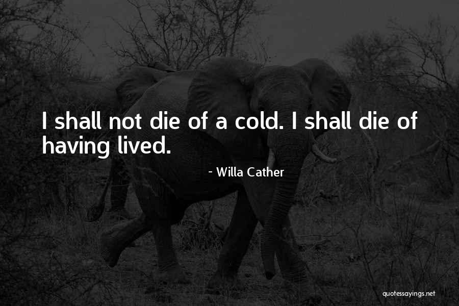 Mengecilkan Perut Quotes By Willa Cather Mengecilkan Perut Quotes By Willa Cather