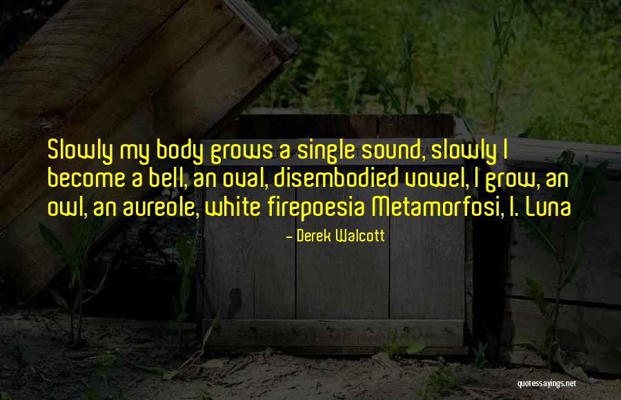 Mengelola Sampah Quotes By Derek Walcott Mengelola Sampah Quotes By Derek Walcott