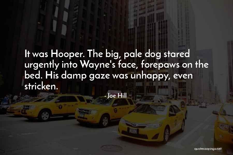 Menggenggam Bara Quotes By Joe Hill