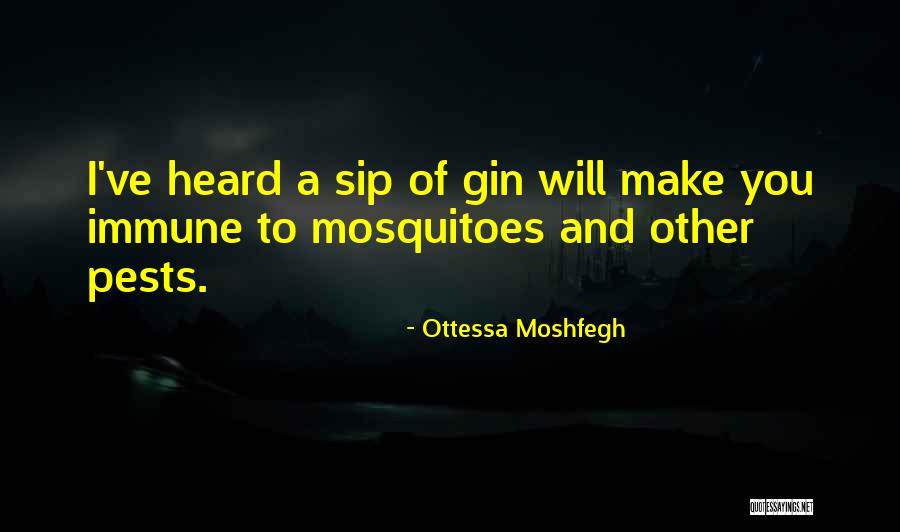 Menghini Liver Quotes By Ottessa Moshfegh Menghini Liver Quotes By Ottessa Moshfegh