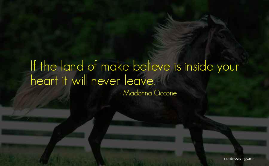 Menguante Definicion Quotes By Madonna Ciccone Menguante Definicion Quotes By Madonna Ciccone