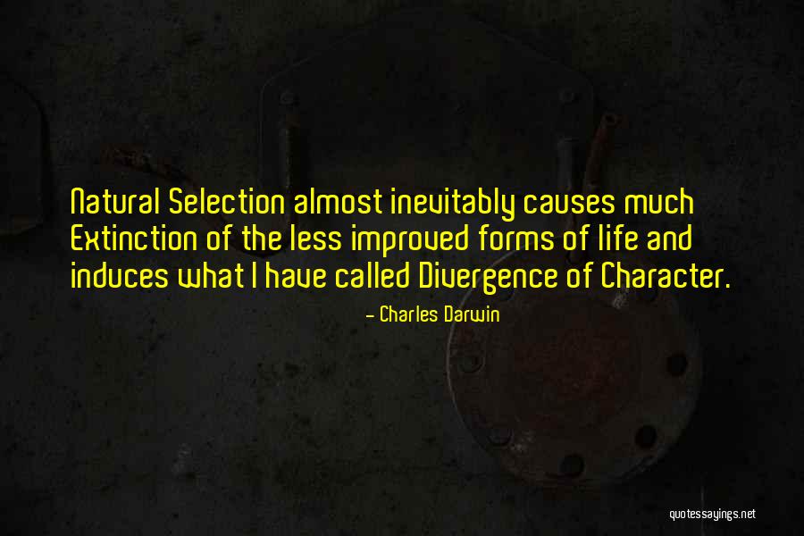 Meninges Quotes By Charles Darwin Meninges Quotes By Charles Darwin