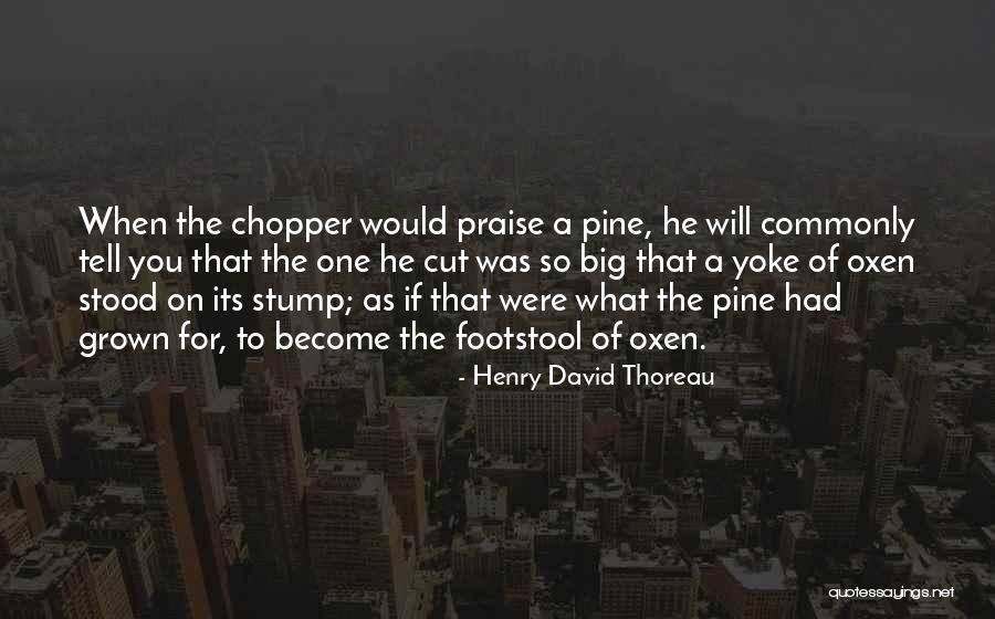 Meninos E Quotes By Henry David Thoreau Meninos E Quotes By Henry David Thoreau