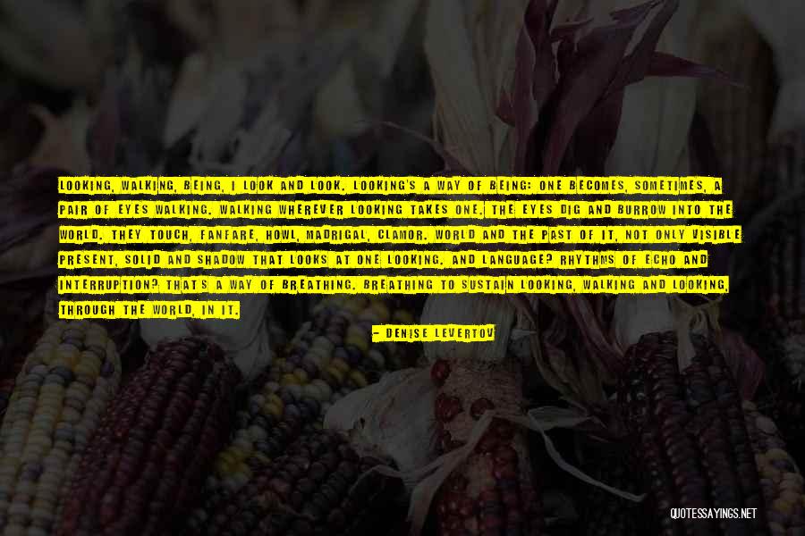 Menjulang Artinya Quotes By Denise Levertov Menjulang Artinya Quotes By Denise Levertov